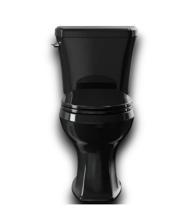 55705 Round Black 2-pc Toilet