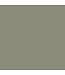 Green Sheen Paint Sage