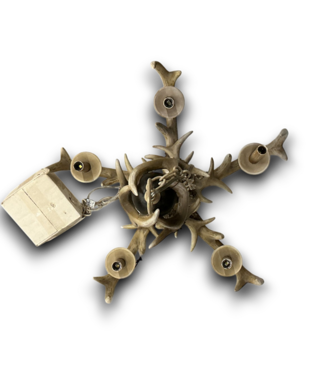 55738 Rustic 5-light Whitetail Deer Antler Chandelier