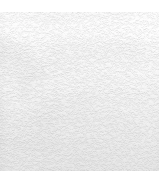 Bud's Warehouse 55792 Paintable Textured Wallpaper 55. Sq. Ft.