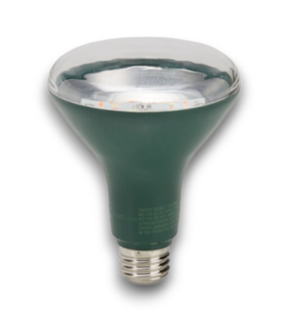 Bud's Warehouse 55873 12.85 Ppf 400- 700 Nm Led Grow Bulb