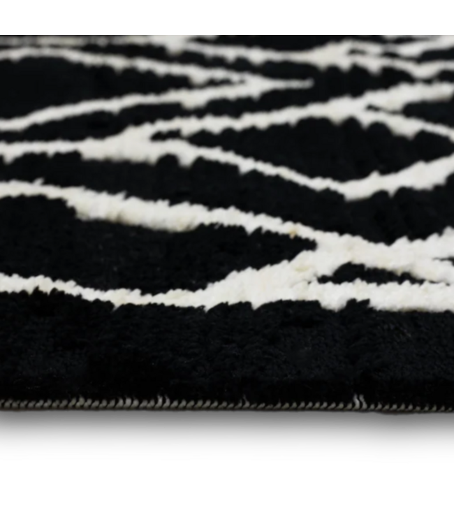 56033 Black & White Indoor Area Rug 5' X 7'