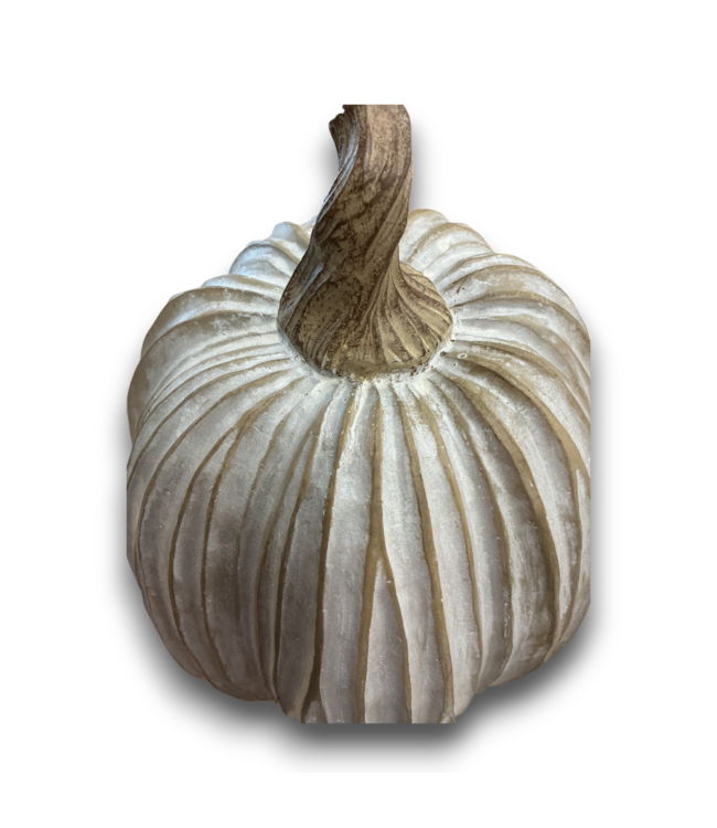 56084 White Distressed Pumpkin
