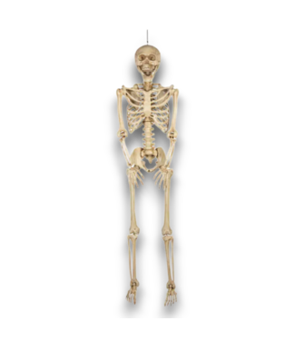 Bud's Warehouse 56086 7' Hanging Skeleton Decoration