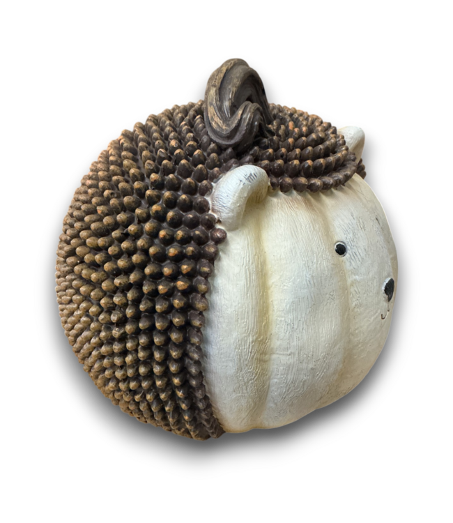56088 Hedgehog Pumpkin