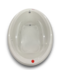 56206 60x42x21 White Acrylic Jetted Jacuzzi Tub