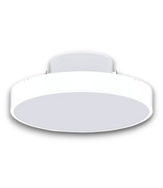 Bud's Warehouse 56221 Neve Series 10w Surface Mount Light