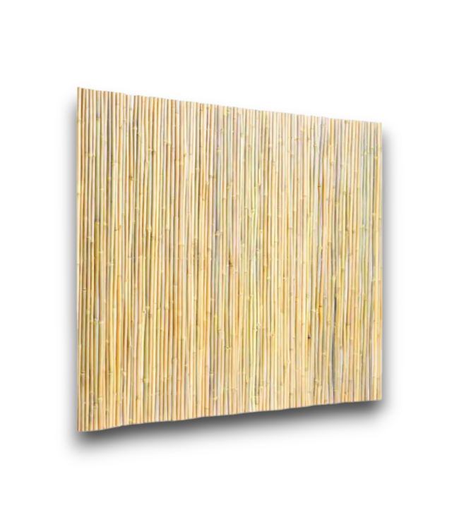 56228 Bamboo Fence