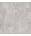 56365 Silver Imperial Marble Click Lock Vinyl Tile Flooring 9 Boxes