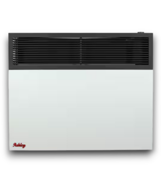 Bud's Warehouse 56381 Direct Vent Propane Heater 25,000 Btu