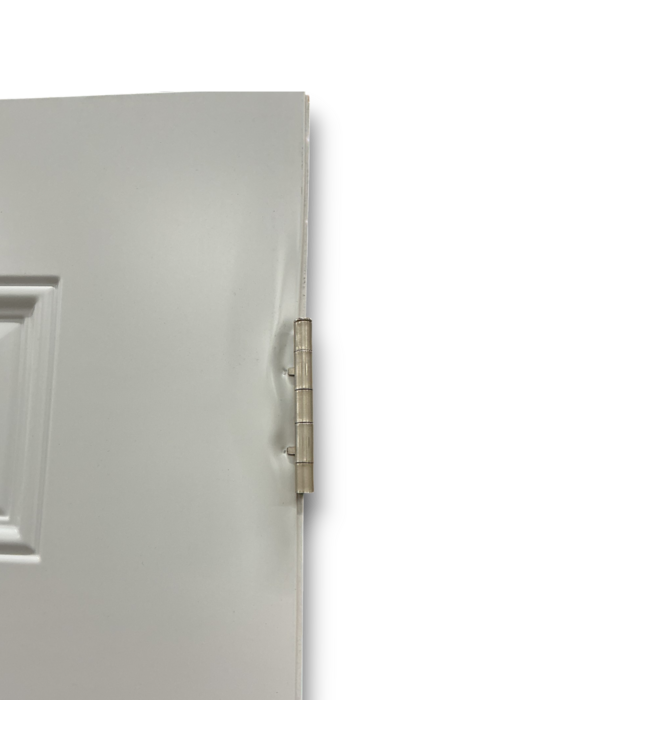 56448 36 X 79 White. 6 Panel Exterior Door Slab
