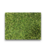56601 Green Artificial Grass And Artificial Grass Infill