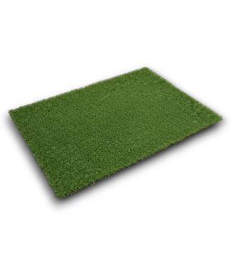 Bud's Warehouse 56641 Forest Green Artificial Grass Roll 12' X 16'