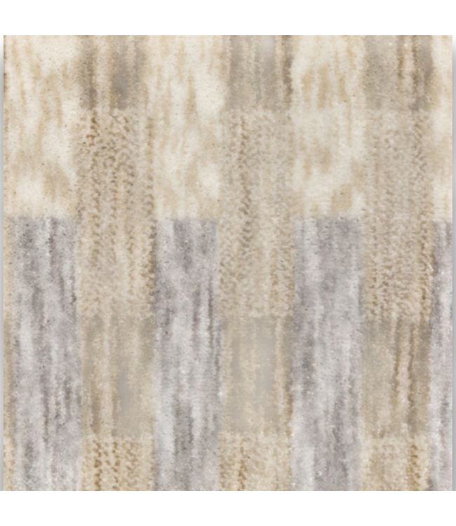 56852 Riverbend Checkers Multicolor Rectangle Indoor Area Rug