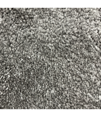 Bud's Warehouse 56956 Moonstone Gray Carpet Roll 12' X 17' 204 Sq. Ft.