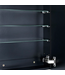 57131 Garnes Surface/recessed Mount Black Mirrored Medicine Cabinet