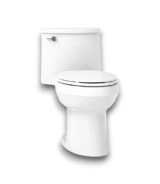 Bud's Warehouse 57171 Soft Close 1-piece Toilet