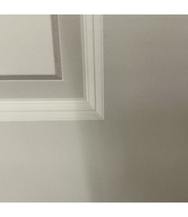 57445 32 X 80 2 Panel primed Interior Door Slab