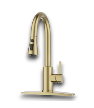 Bud's Warehouse 57555 Brushed Gold Pull Down Kitchen Faucet With Soak Dispenser