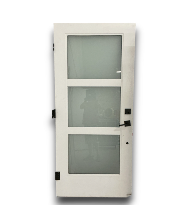 57620 67.5 X 82 Double Side Light Exterior Door
