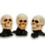 57674 1’ Free Standing Skeleton Yard Decoration