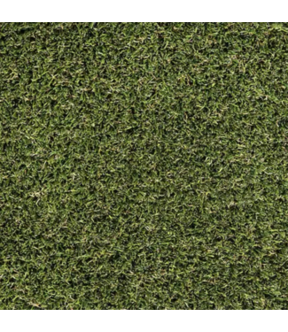 Bud's Warehouse 57924 Synpaws Play Roll-bar Artificial Grass Roll 156 Sq. Ft.