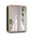 57949 Gold Frame Medicine Cabinet Mirror