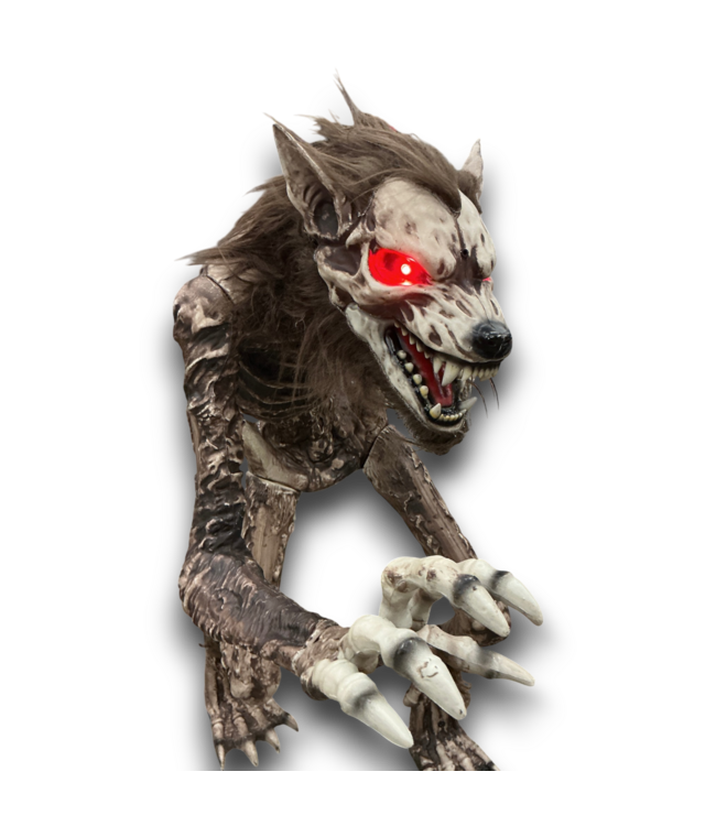 58051 Motion Activated Growling Lighted Werewolf Halloween Animatronic