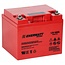 ENERWATT WPHR12-48 AGM BATTERY 12V 48AH HIGH RATE