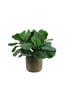 D & W SILKS FIDDLE LEAF FIG IN ROUND STONE CONTAINER