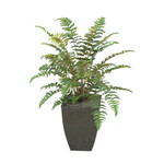 3' LEATHER FERN IN SQUARE METAL CONTAINER