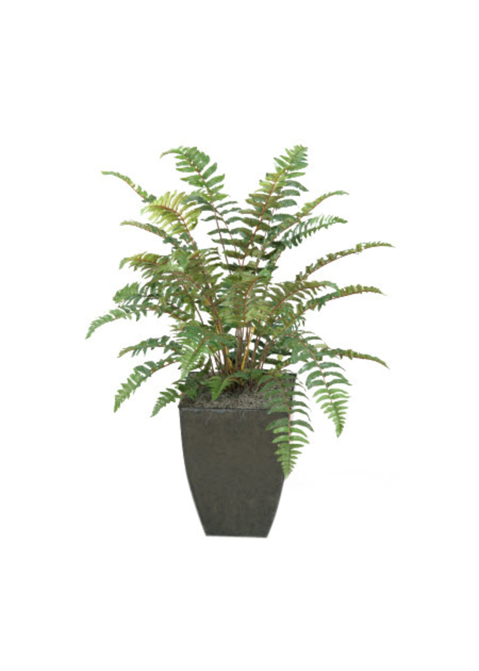 D & W SILKS 3' LEATHER FERN IN SQUARE METAL CONTAINER