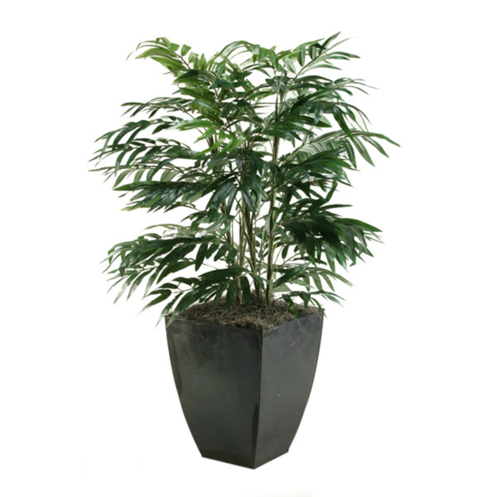 PHOENIX PALM IN SQUARE ZINC PLANTER