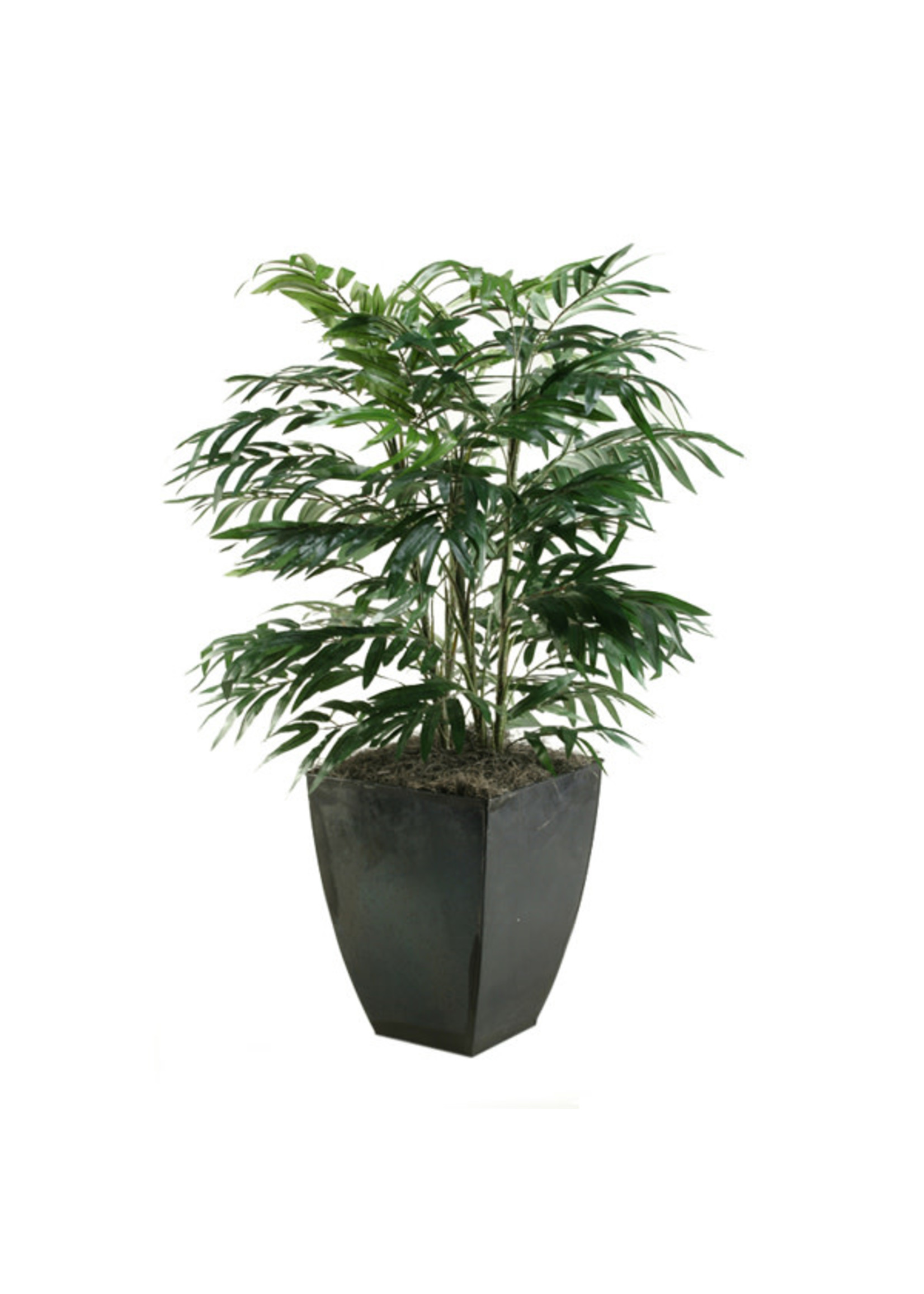 PHOENIX PALM IN SQUARE ZINC PLANTER