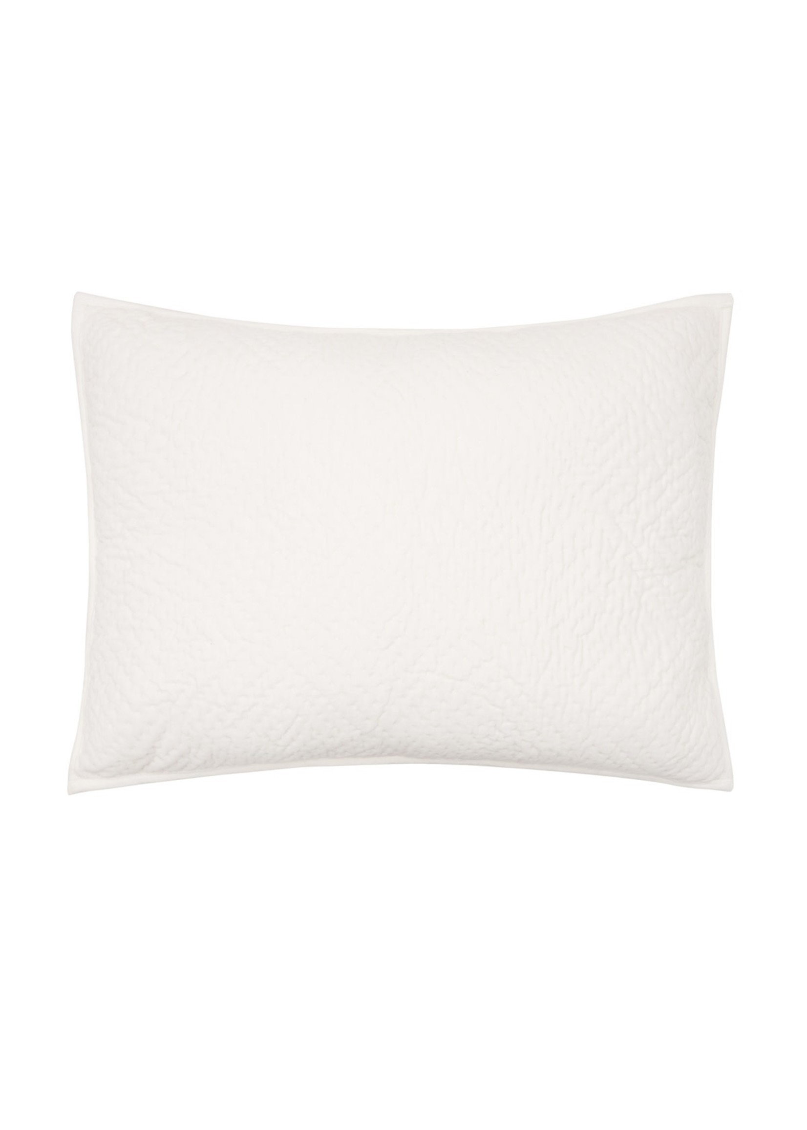 ELISABETH YORK STANDARD, VELA  SHAM - IVORY