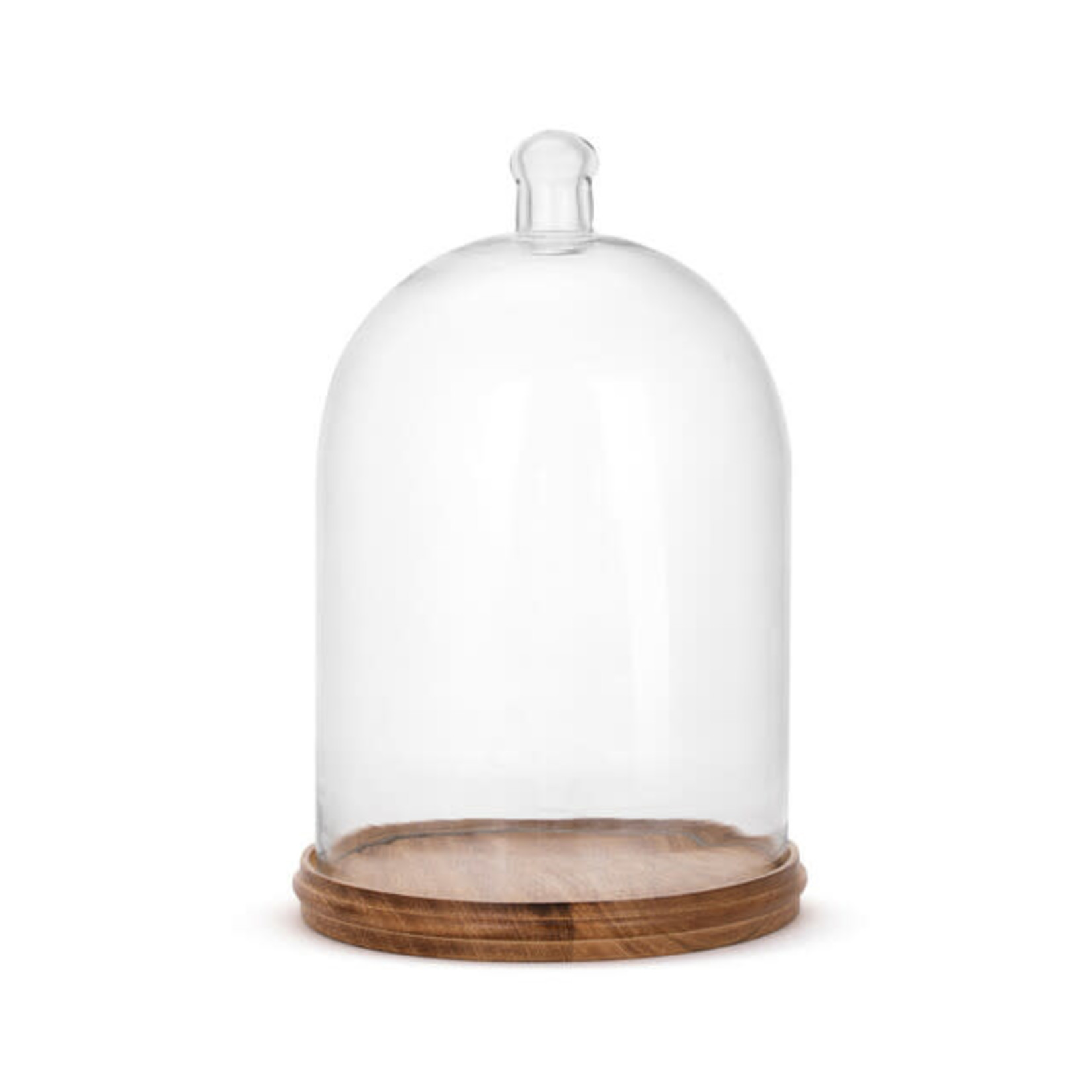 LARGE GLASS CLOCHE WITH BASE