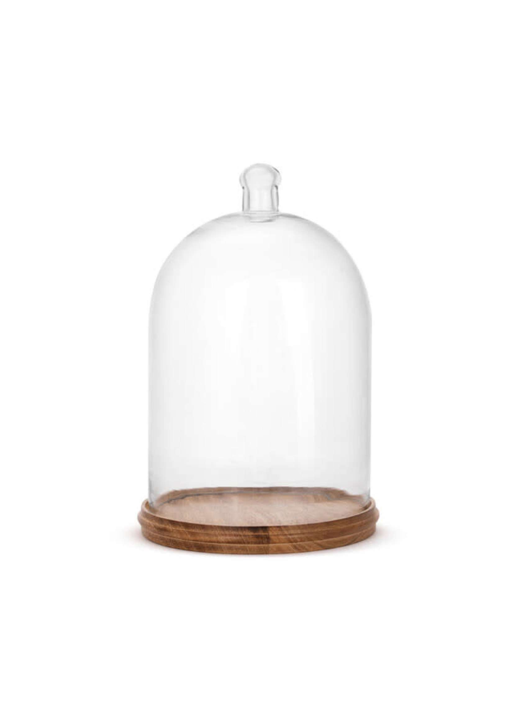 LARGE GLASS CLOCHE WITH BASE