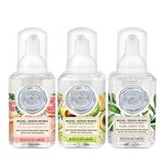 MICHELE DESIGN WORKS MINI FOAMING SOAP SET:  PINK GRAPEFRUIT, FRESH AVOCADO, EARL GREY TEA