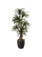 D & W SILKS 7' DRACAENA IN METAL PLANTER