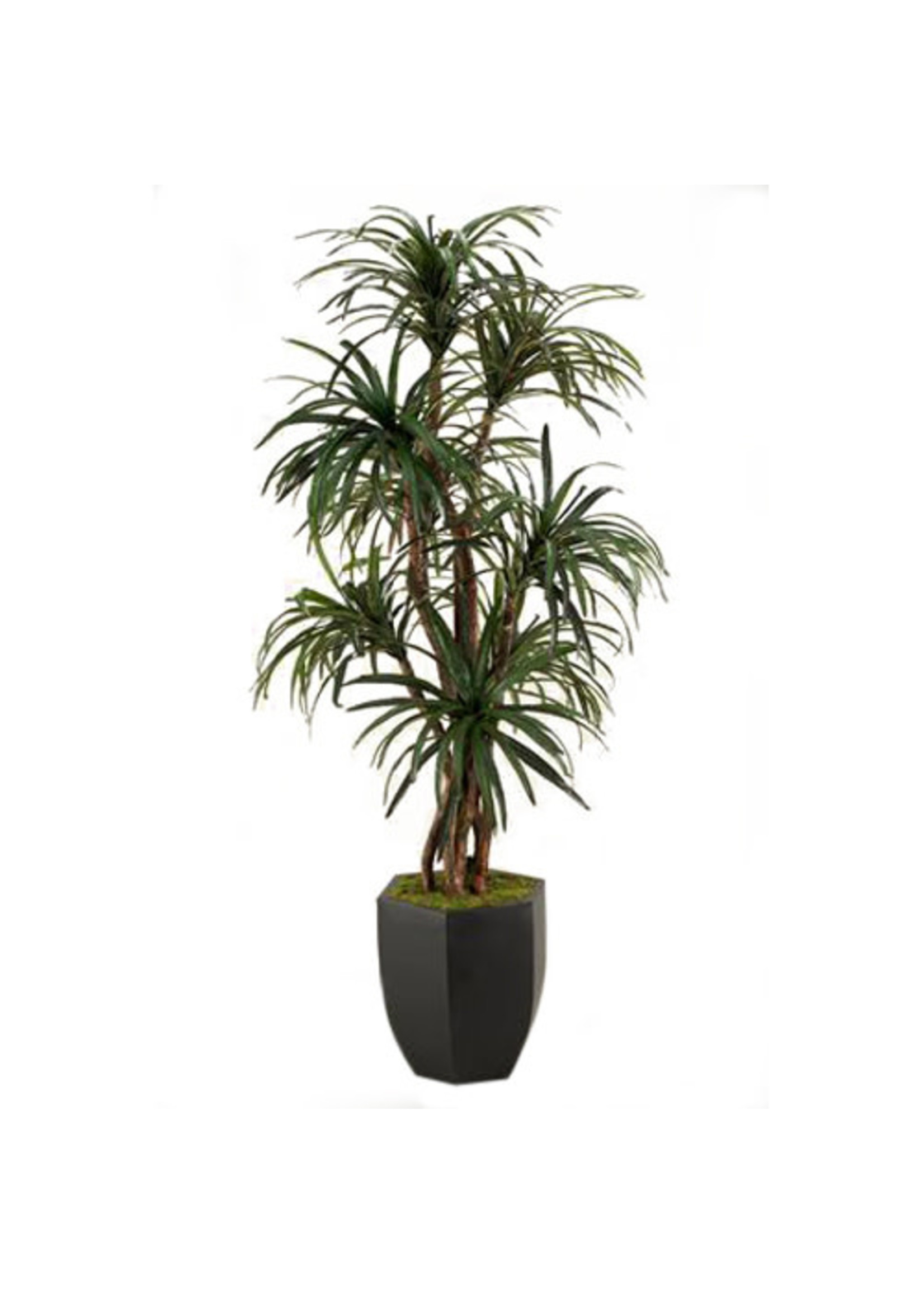 D & W SILKS 7' DRACAENA IN METAL PLANTER