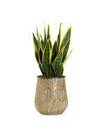 GREEN/YELLOW MOTHER IN-LAW'S TOUNGE IN AGED COPPER ROUND METAL PLANTER