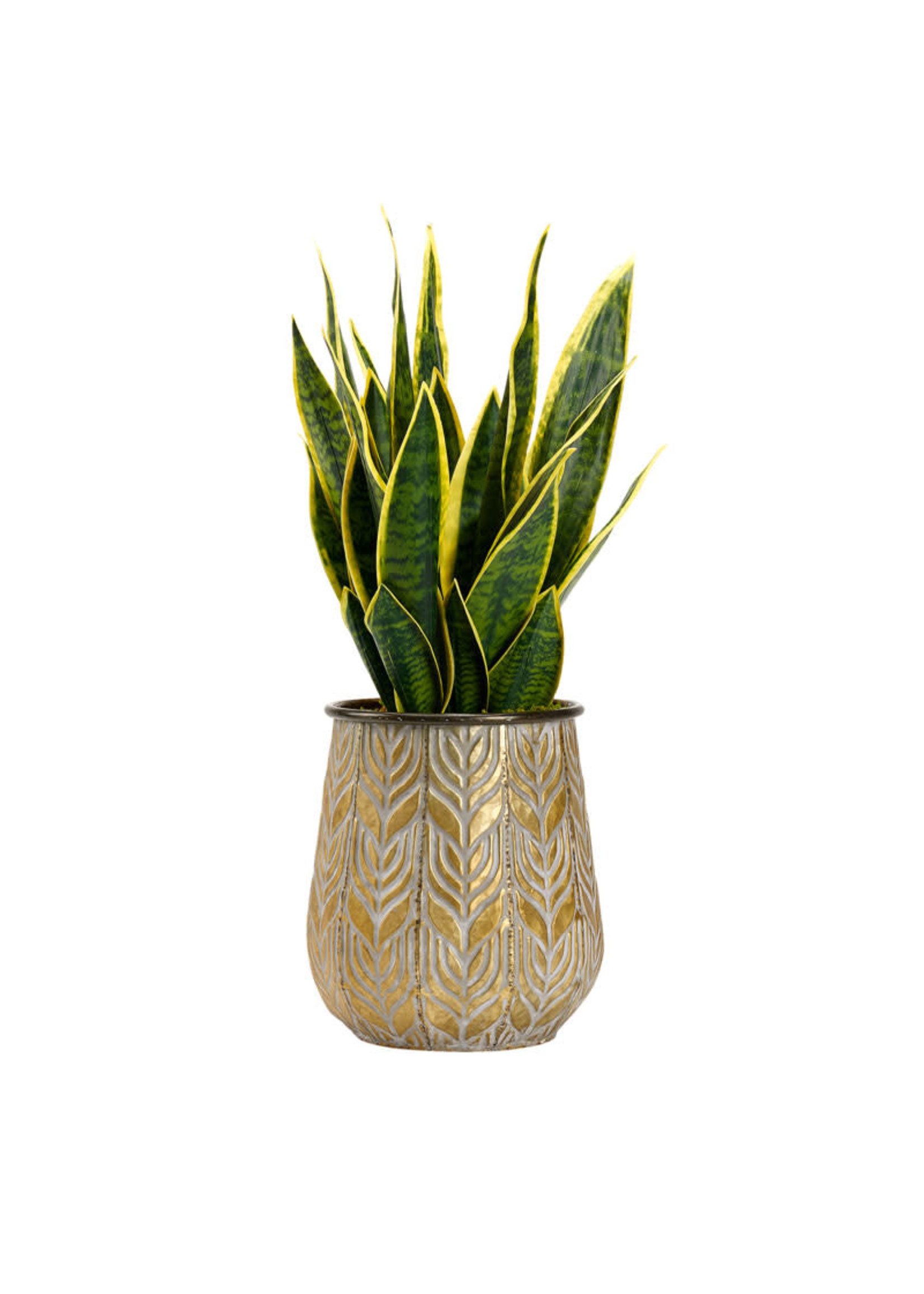 GREEN/YELLOW MOTHER IN-LAW'S TOUNGE IN AGED COPPER ROUND METAL PLANTER