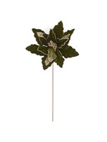 K & K DARK GREEN VELVET & GOLD SEQUIN POINSETTIA