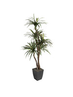 D & W SILKS 6' DRACAENA TREE IN BLACK SQUARE METAL PLANTER