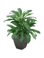 D & W SILKS 7' BIRDNEST PALM IN SQUARE METAL PLANTER