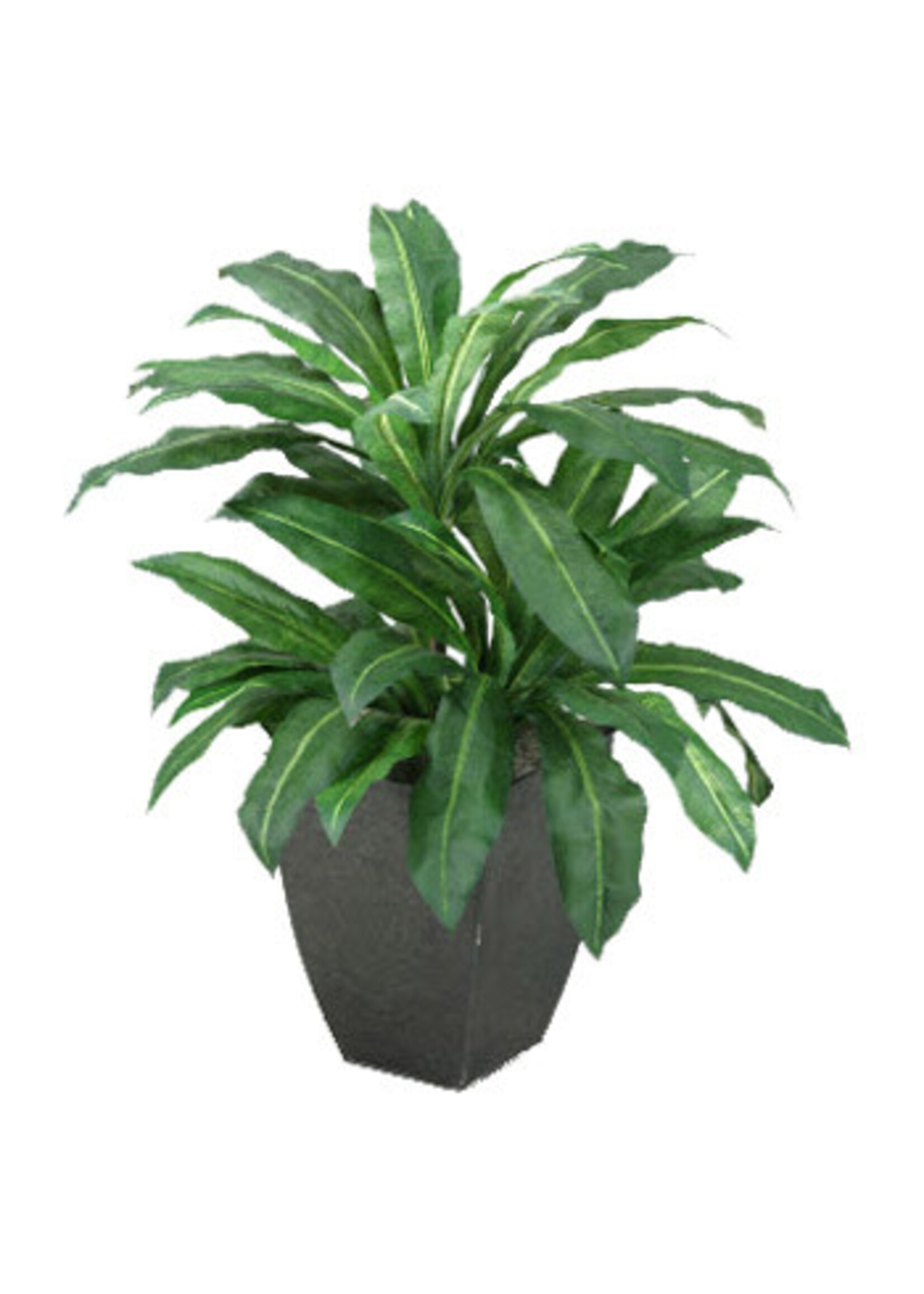 D & W SILKS 7' BIRDNEST PALM IN SQUARE METAL PLANTER