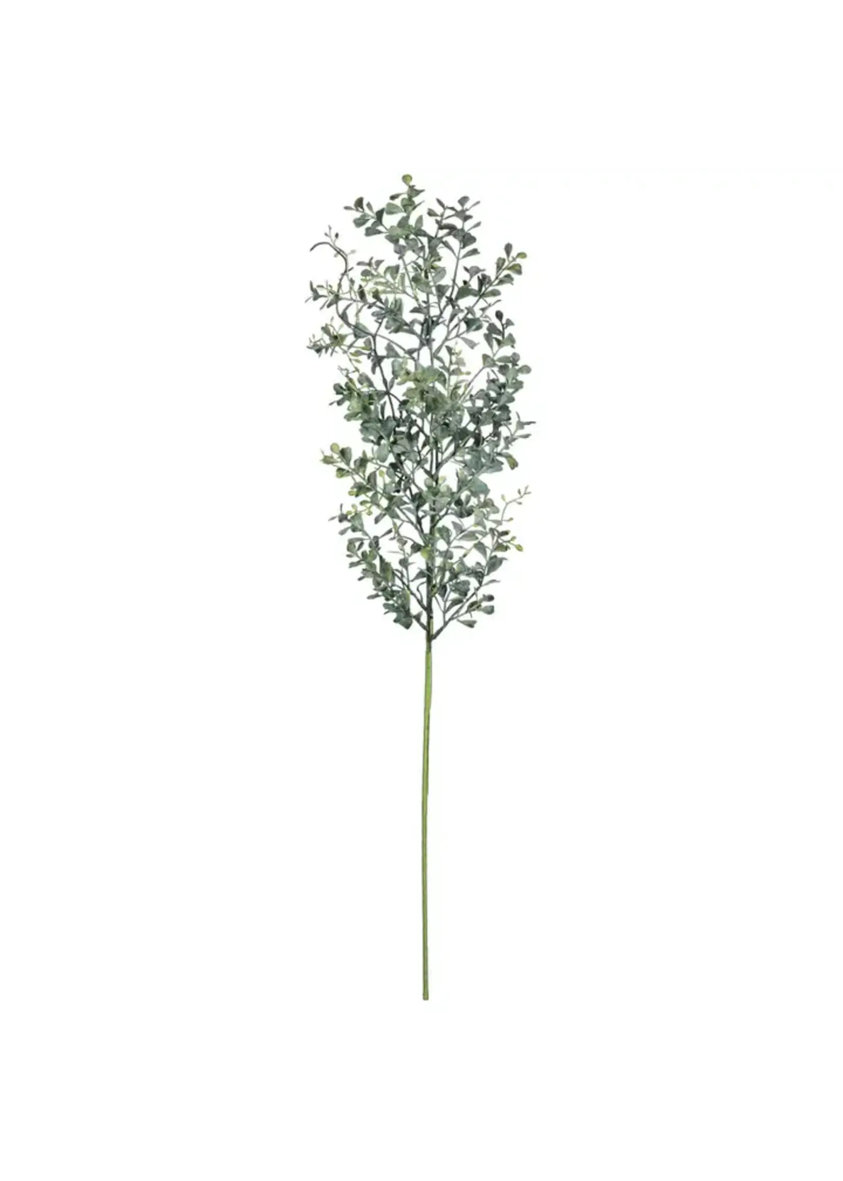BLUE BOXWOOD BUNDLE