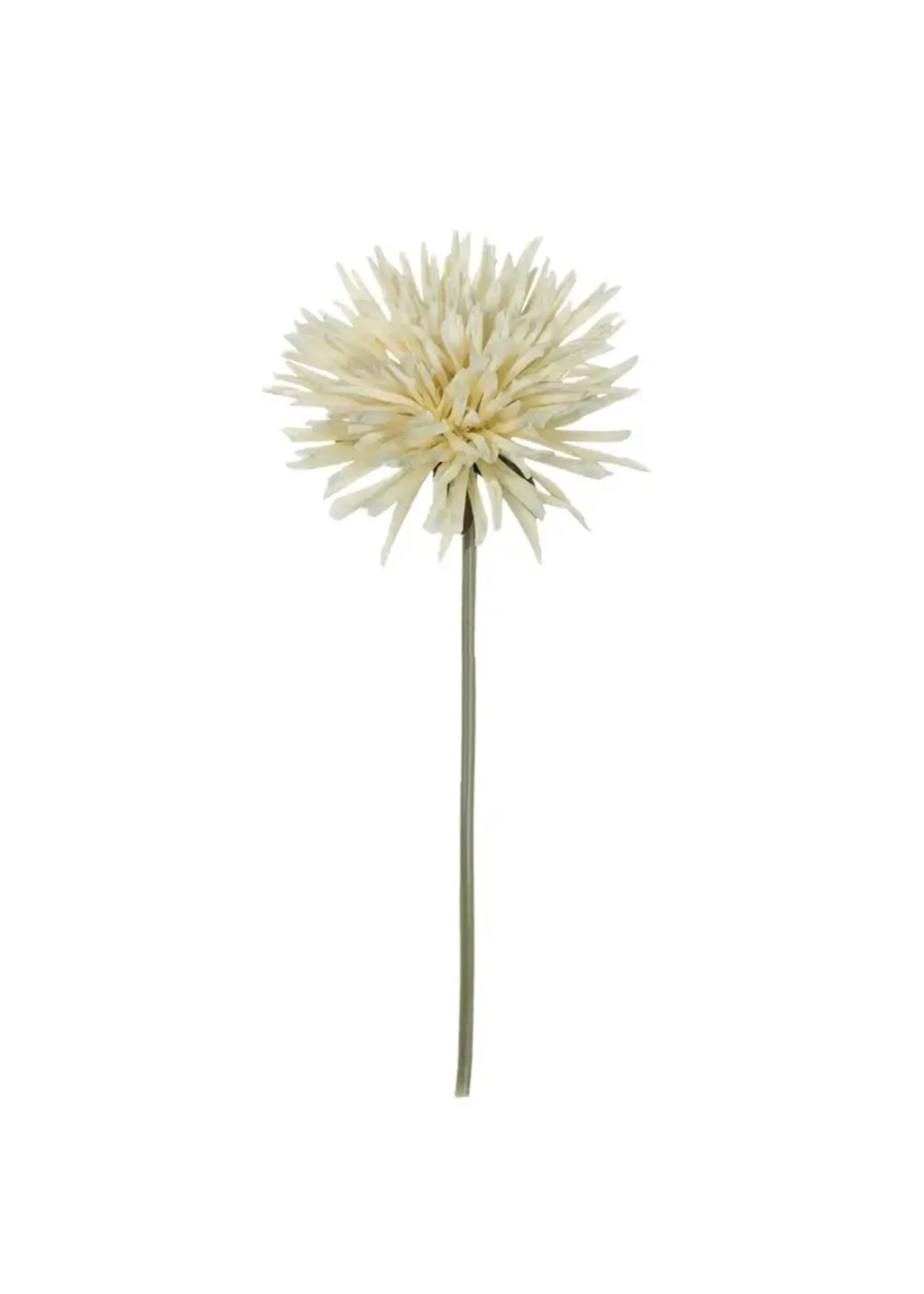 Sullivans DAHLIA STEM