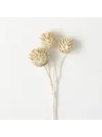 Sullivans DRAGON SPRAY