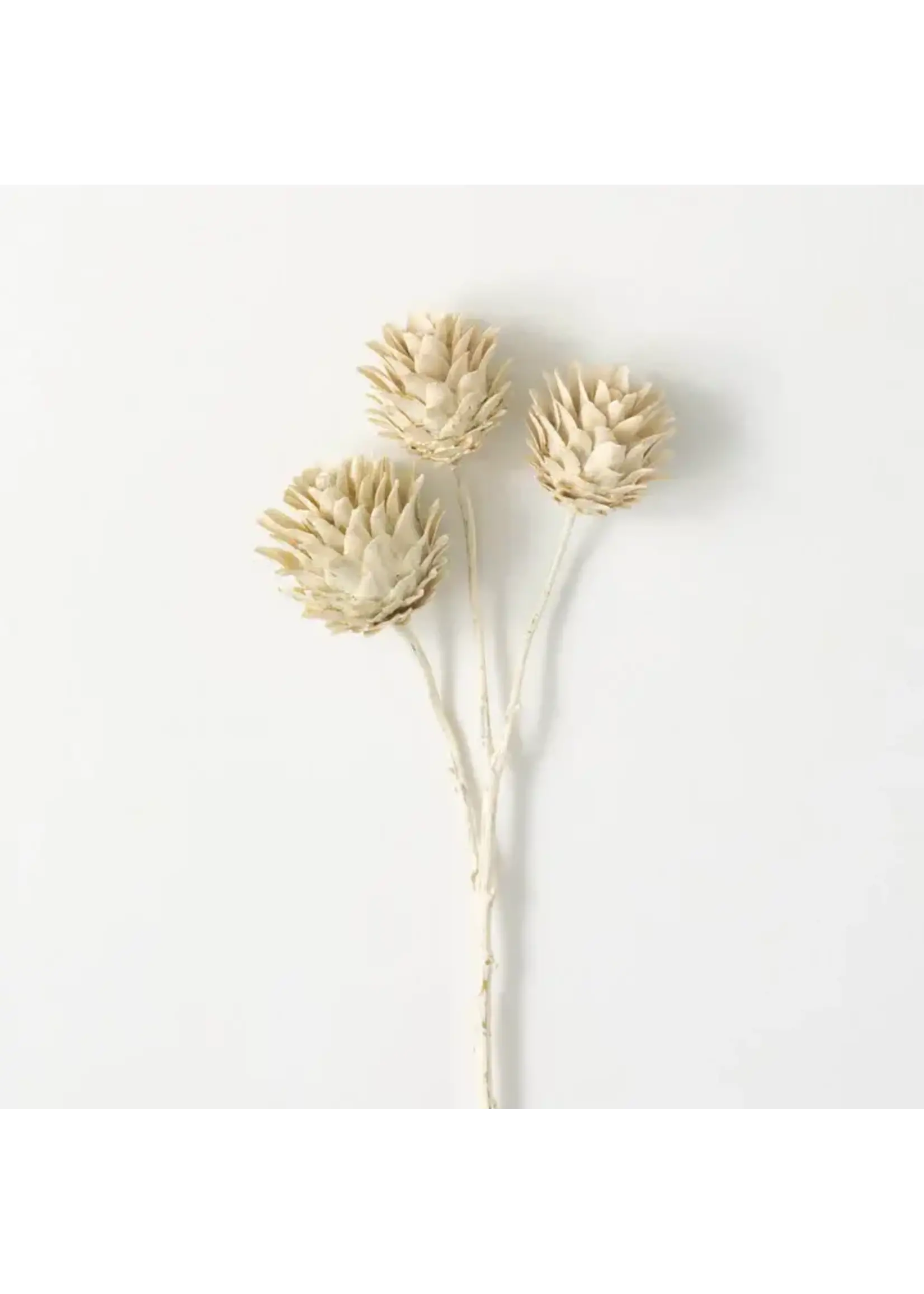 Sullivans DRAGON SPRAY